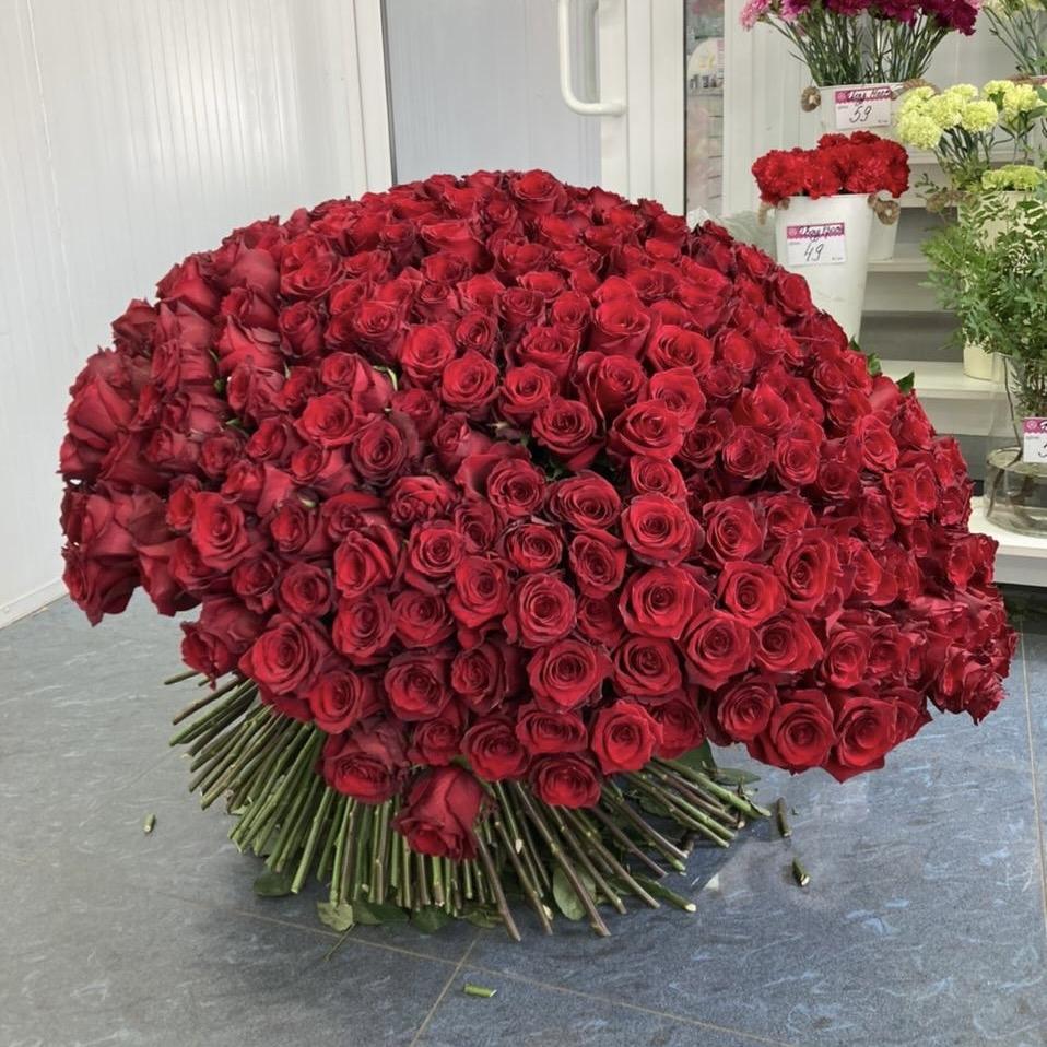 Букеты из красных роз 80 см (Эквадор) Артикул  209676
