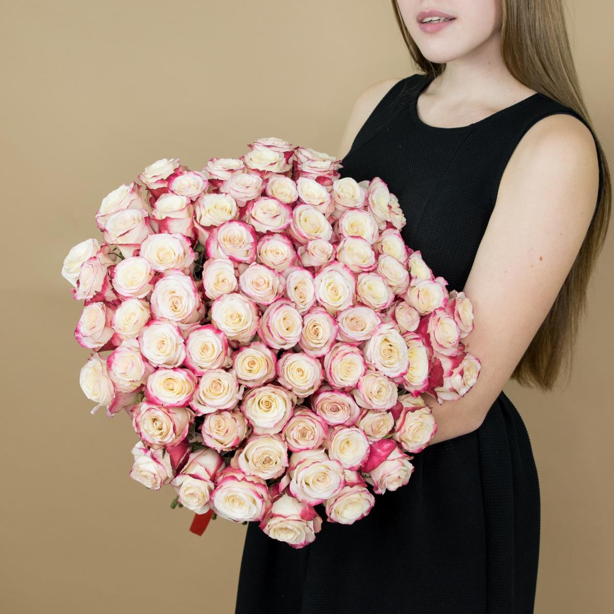 Розы красно-белые (40 см) Эквадор артикул букета  519