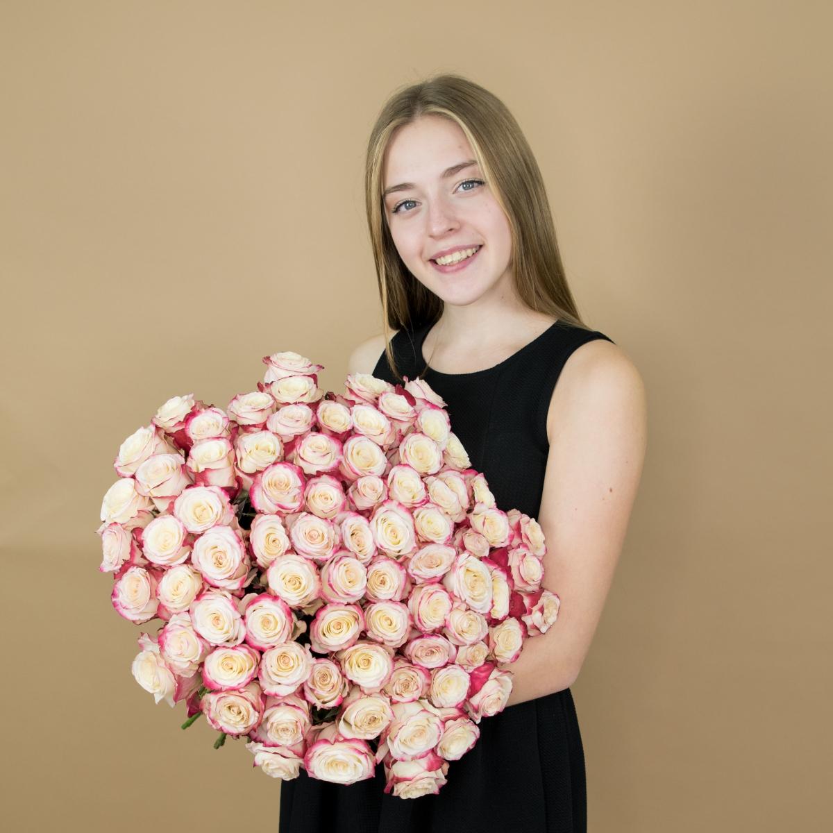 Розы красно-белые (40 см) Эквадор артикул букета  519