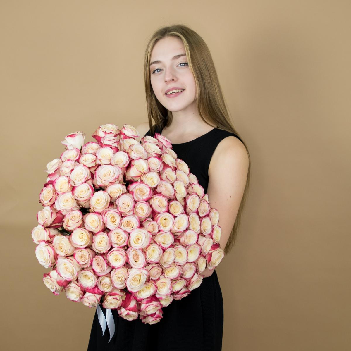 Розы красно-белые 101 шт. (40 см) (артикул букета  92382)