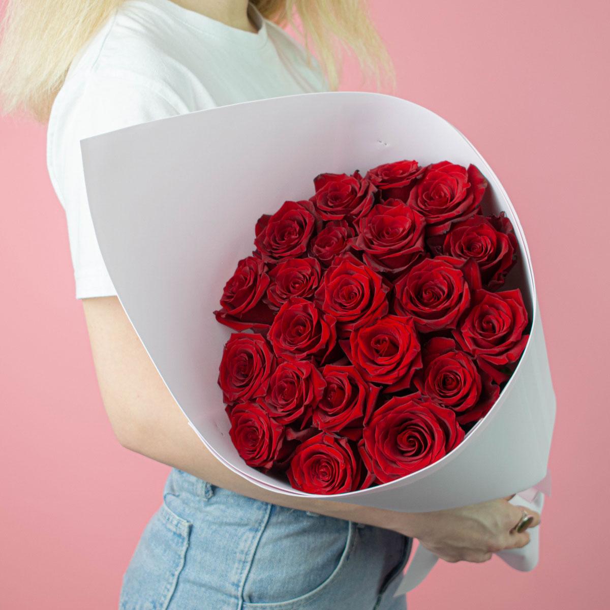 Розы Эквадор 40 см (Красный)