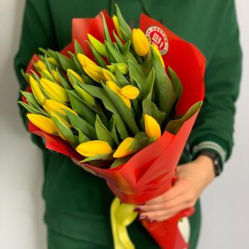 Тюльпаны желтые 25 шт articul - 146358